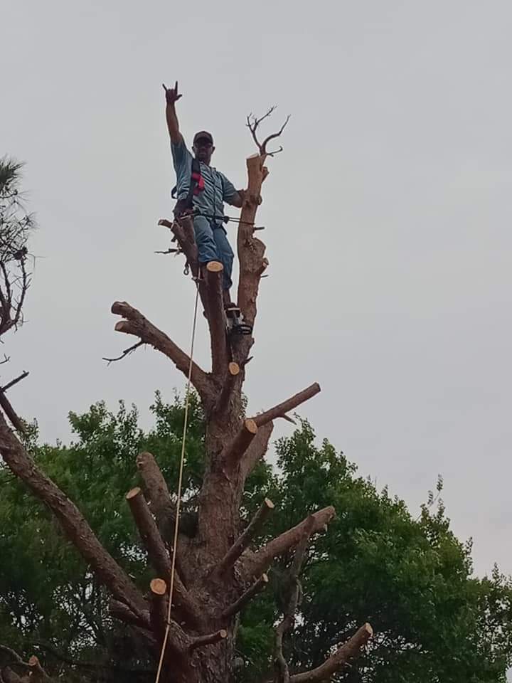 Crafting Captivating Headlines: Your awesome post title goes here chipmans-best2